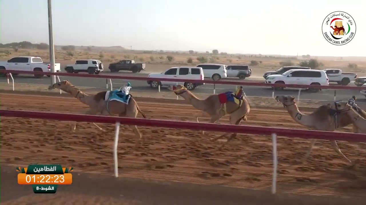 ميــدان الذيد - ش 8 الفطامين 07/03/2026 شاهين / حمد علي عبيد بالرشيد الكتبي التوقيت : 2:13:71