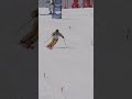 wedeln!!ヴェーデルン@shorts