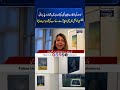 Pakistani Artist Maheen Elahi Shines at Prestigious London Chelsea Exhibition