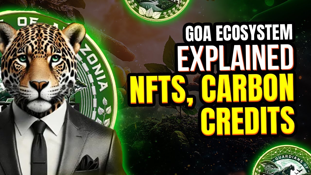 GOA Ecosystem Explained: NFTs, Gaming, and Carbon Credits - YouTube