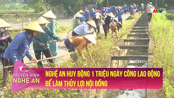 Nghệ An huy động 1 triệu ngày công lao động để làm thủy lợi nội đồng