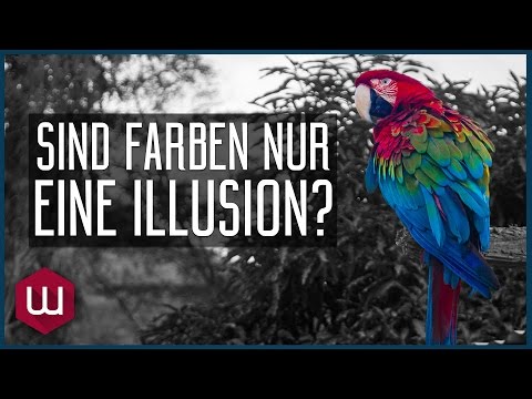 Video: Farbe - Es Ist Nur Eine Illusion, Die Vom Gehirn Erzeugt Wird - Alternative Ansicht