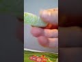 Opening sour worms.
