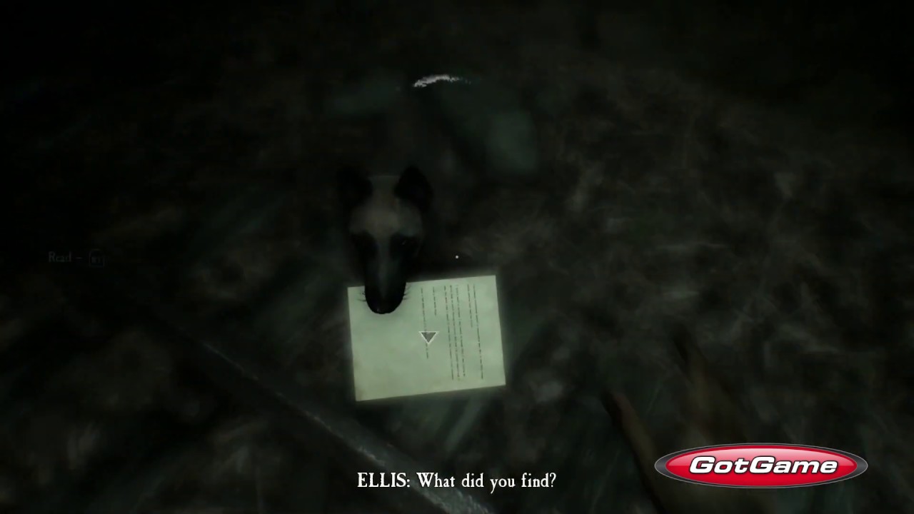 Petting Bullet - Blair Witch Game