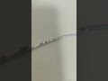 New And Original Bently Nevada 330105-02-12-05-02-05 Probe Proximity Sensor from Jmorxe.