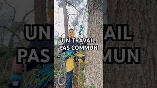 Avoir ça dans son jardin 😍 #art #nature #garden