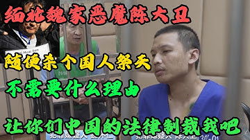 相比明珍珍，魏家的陳大衛狠過一百倍！他是緬北魏家指定的接班人，魏懷仁殘暴，他的侄兒更狠，面對審訊滿臉不屑：「讓你們中國的法律製裁我吧！」#X調查#wayne調查