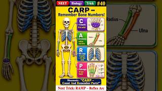 Bone Numbers Trick: CARP 🦴 NEET 2026 #reneetshorts @learnforsuccess134