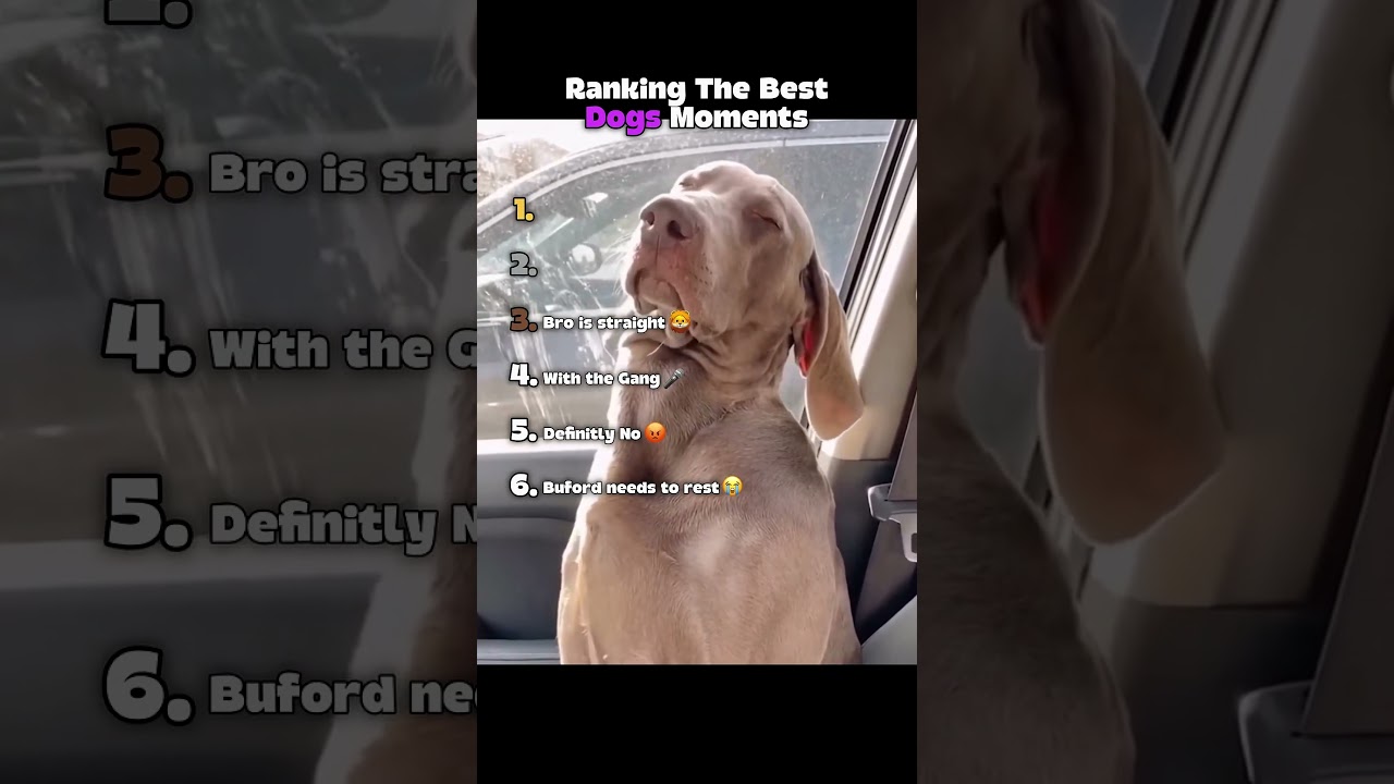 You won’t believe number 1….     