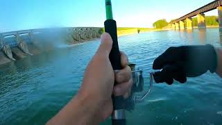 White bass and Hybrid Lavon Dam , CTS Vapor trail Rods #fishing #whitebass #cauca #fish #câucá