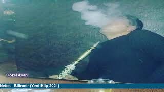 724 Canli Azerbayaca Canli Yayin