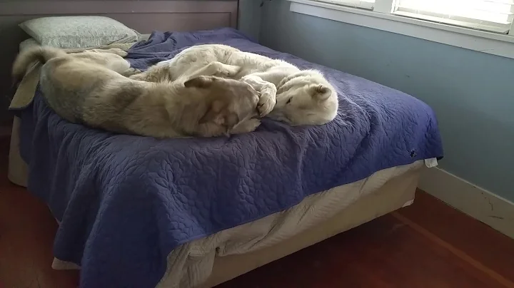 Morning snuggles...