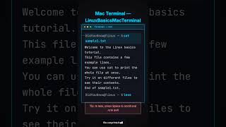 How to use ifconfig in Linux 🐧 | Networking Basics #Shorts