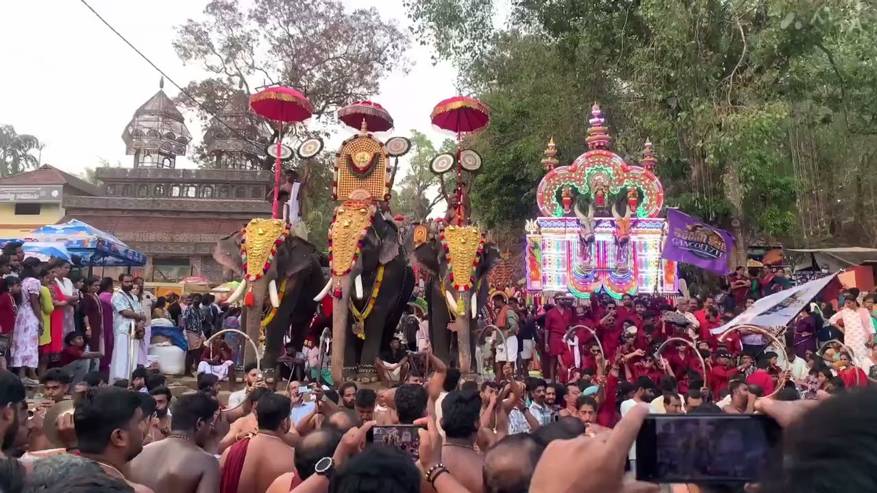 Pariyanampatta Pooram 2026