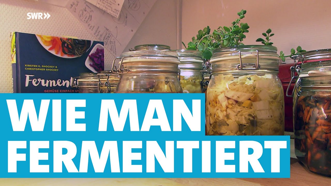 Was ist Fermentation? I Essen haltbar und gesünder machen? 🌱