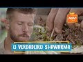 Shawarma: aprenda a fazer o famoso sanduíche árabe | Rodrigo Hilbert | Tempero de Família