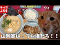 【山岡家】やっぱプレ塩だよな!!餃子とライスも頼んで腹パンになれ!!という話【クセになる味】#猫ミーム #猫マニ