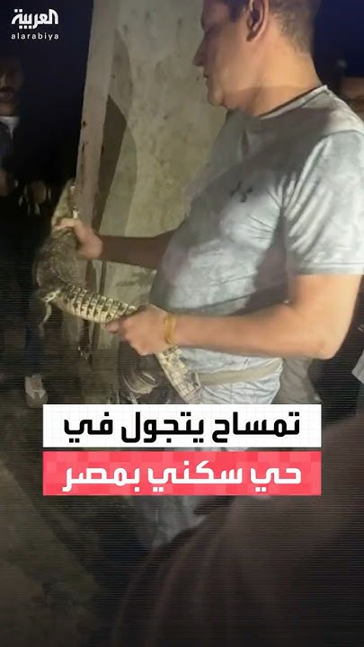               
 - نشر قبل 12 دقيقة