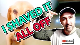 I Shaved off All My Hair For YouTube