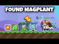 Finding RARE ITEMS on my Old Worlds!! (Found MAGPLANT!!) Part 1 | Growtopia