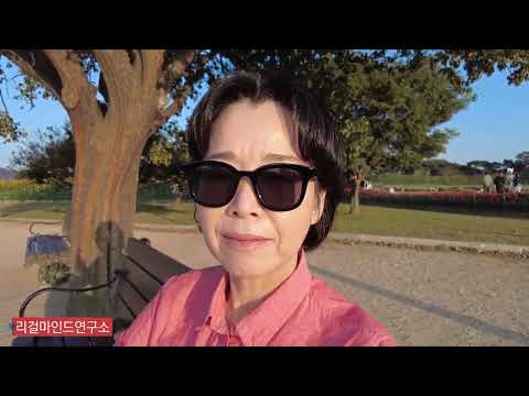 경주 <strong>첨성대</strong>, 1400년의 비밀 풀기 _남쪽 창의 새로운 용도를 찾아서