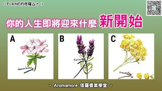 【Aromamore塔羅】你的人生即將迎來什麼「新開始」？