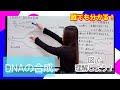 生物 DNAの合成