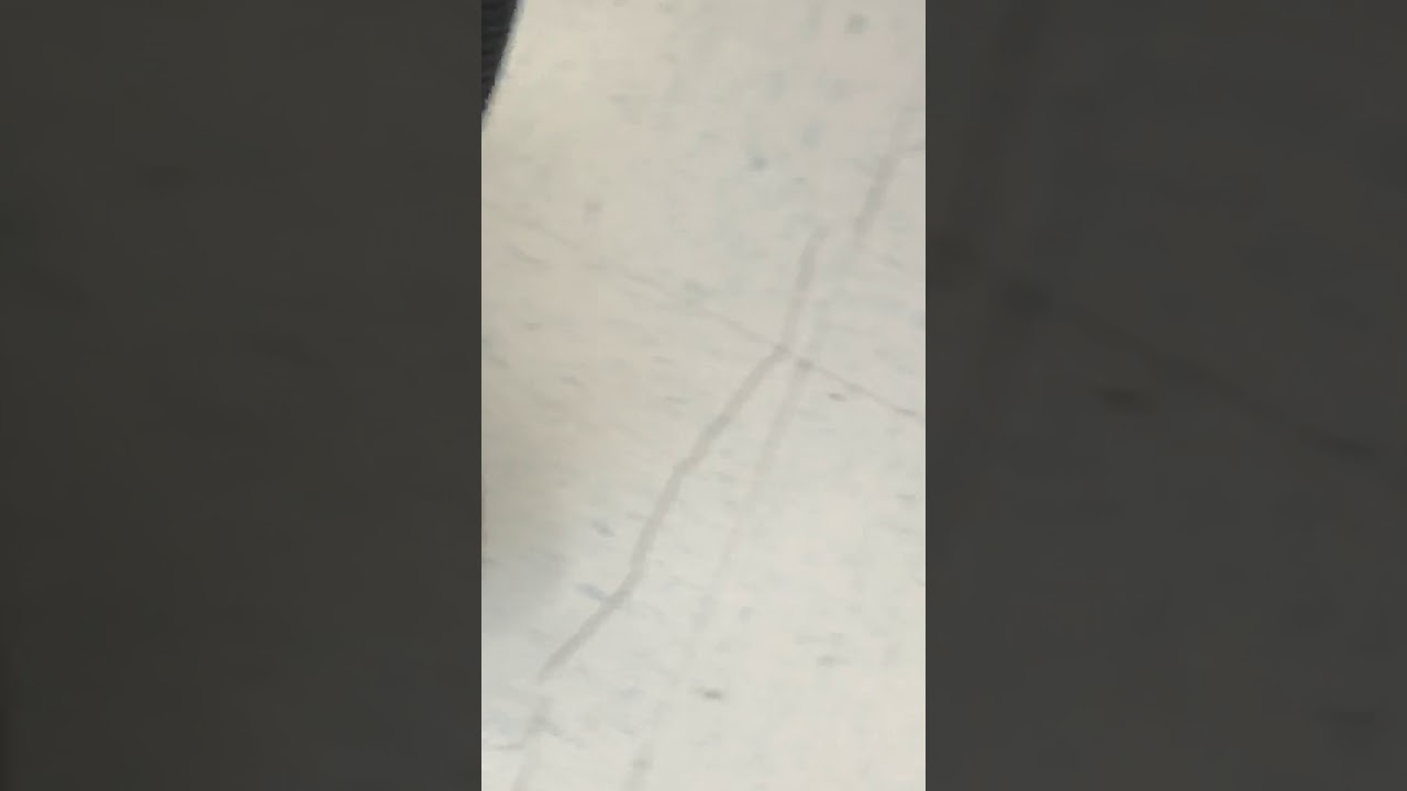 Eureka airspeed one vacuum at goodwill