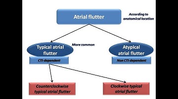 ECG course: Atrial Flutter, Dr. Sherif Altoukhy