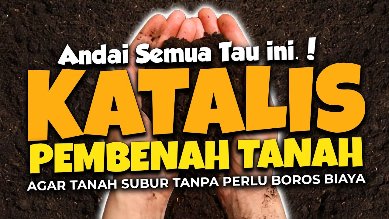 KATALIS PEMBENAH TANAH AGAR TANAMAN SUBUR TANPA PERLU BOROS BIAYA. MAU.???
