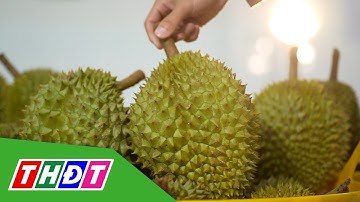 6 tháng, nông nghiệp xuất siêu gần 10 tỷ USD | THDT