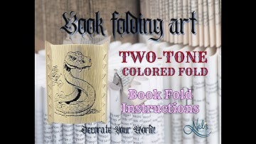 Two tone coloured 180 degree book fold / MMCF / 2-1 Fold / Shadow Fold