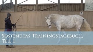 Jungpferdearbeit Die Ersten Inhalte