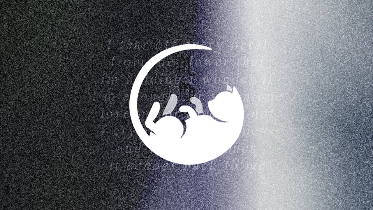 driftcat - echo ft. moon jelly - YouTube