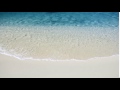 Beach Animated Background