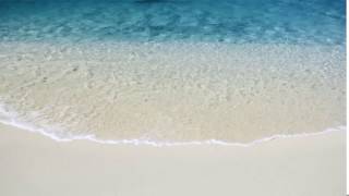 Beach Animated Background