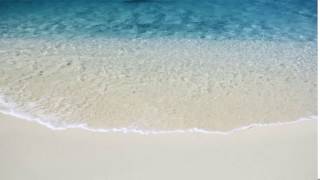 Beach Animated Background screenshot 3