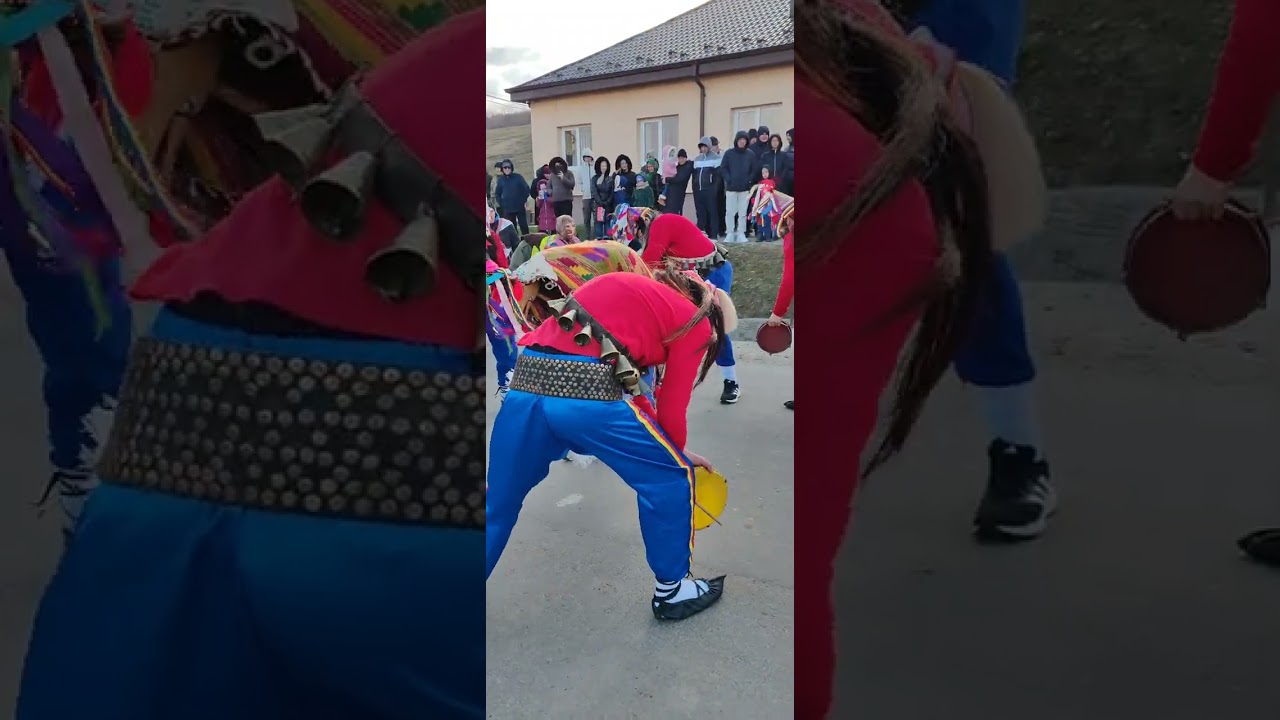 Cerbul de la Costești Iași 2025