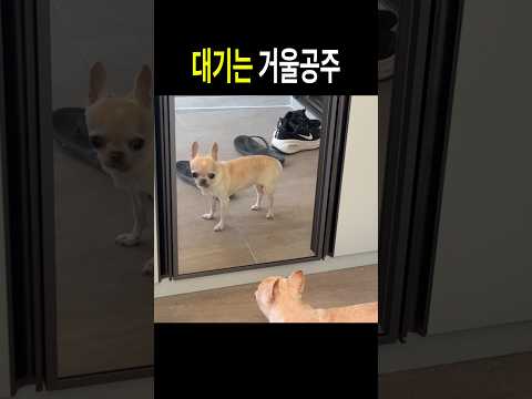 거울보는게 더 중요해 thumbnail