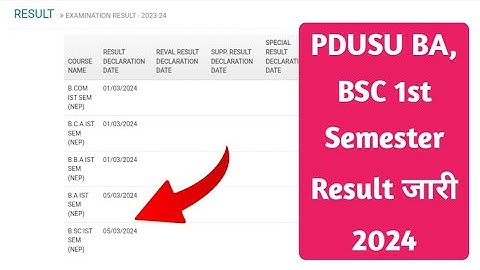 PDUSU BA/BSC 1st Semester Result Kaise Dekhe 2024 || Shekhawati University BA, BSC Result Check 2024