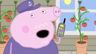 Peppa Pig Wutz Neue Folgen - Champion Papa Wutz - Kinderfilme