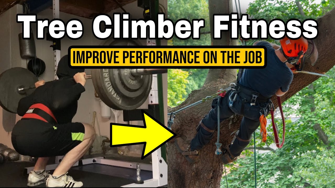 Fitness Tips For The Tree Climbing Arborist YouTube