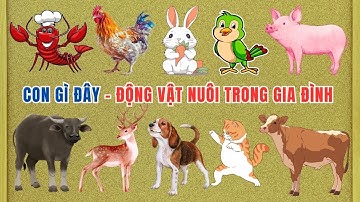 Dạy Bé Học Các Con Vật Nuôi Trong Gia Đình | Dạy Bé Học Nhận Biết Các Con Vật Và Động Vật Nuôi