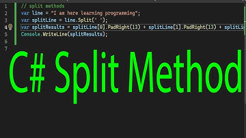 C# Split Method