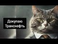Дивиденды 25% от Транснефти?! Стоит ли покупать? 1.78 млн - мой див-портфель.