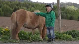 Felix Training Emmeli