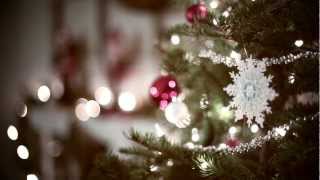 Impact Studio Pro & CASTUS Seasons Greetings