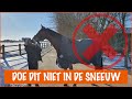 NOOIT doen met je paarden in de sneeuw | PaardenpraatTV