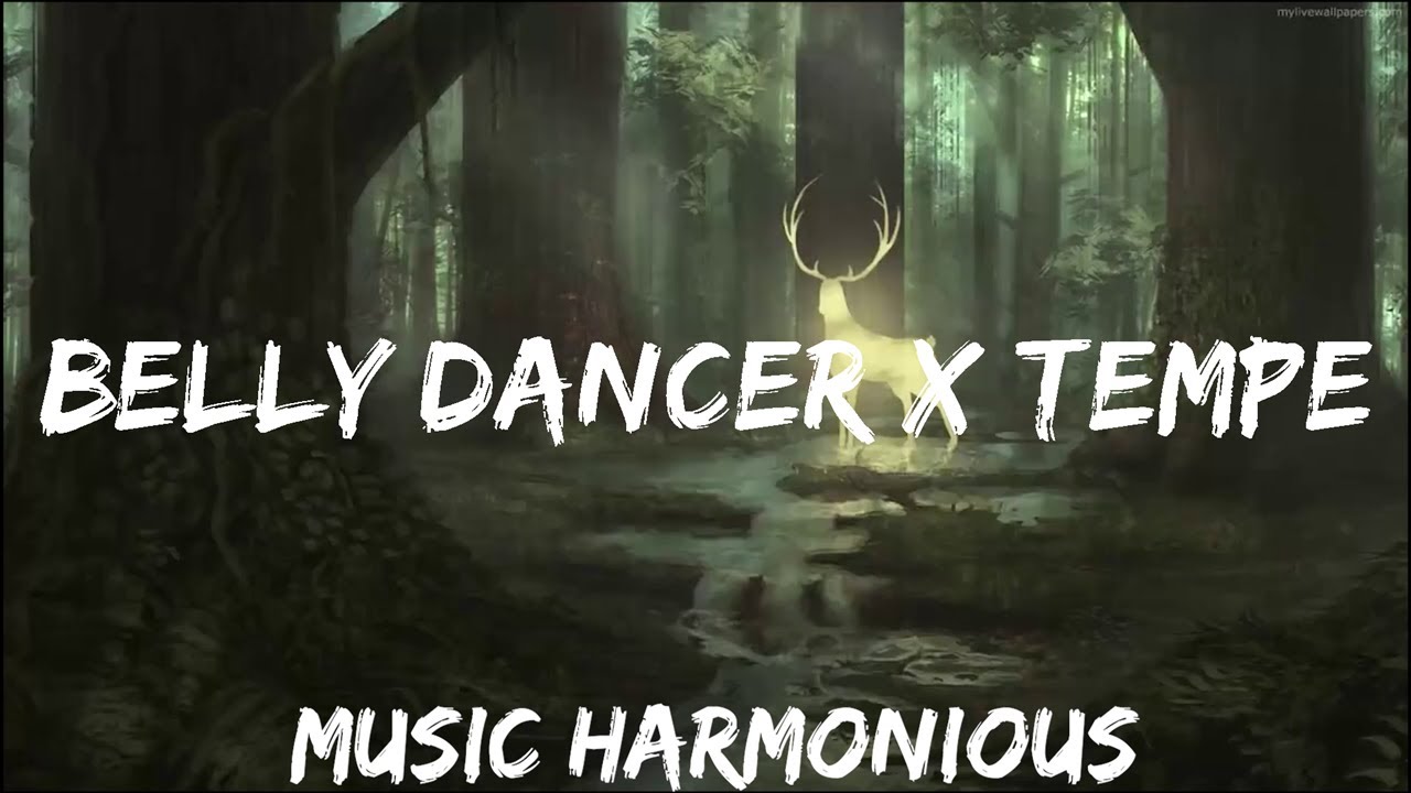Belly Dancer x Temperature (TikTok Remix) dont be shy girl go bananza Music is Lyrics YouTube
