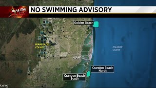 'No swimming advisory' affects beaches in Key Biscayne